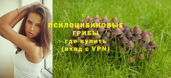 крисы Алзамай